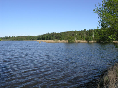 Breiter Teich Zschorna (Foto: H. Blischke)