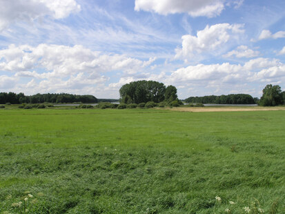 Frauenteich östlich Moritzburg (Foto: H. Blischke, Archiv Naturschutz LfULG)