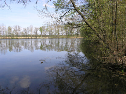 Blick auf Teich bei Grüngräbchen (Foto: H. Blischke, Archiv Naturschutz LfULG)