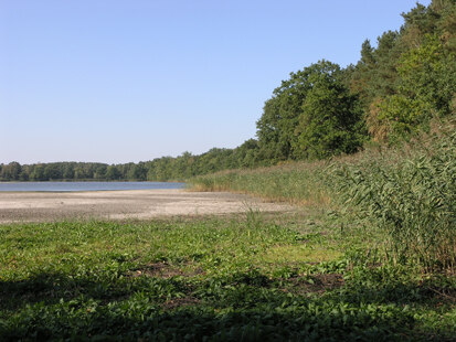 Biehlaer Großteich (Foto: H. Blischke, Archiv Naturschutz LfULG)