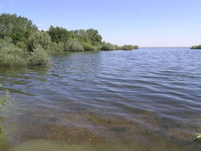 Talsperre Bautzen bei Neumalsitz (Foto: H. Blischke, Archiv Naturschutz LfULG)