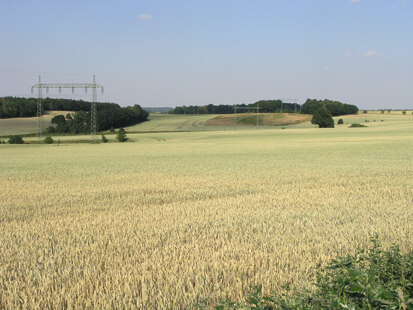 Feldflur bei Niethen (Hochkirch) (Foto: H. Blischke, Archiv Naturschutz LfULG)