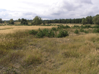 Ehemaliger Hammerteich im Nordteil des Gebiets (Foto: H. Blischke, Archiv Naturschutz LfULG)