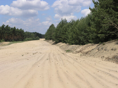 Neustädter Heide (Foto: H. Blischke, Archiv Naturschutz LfULG)