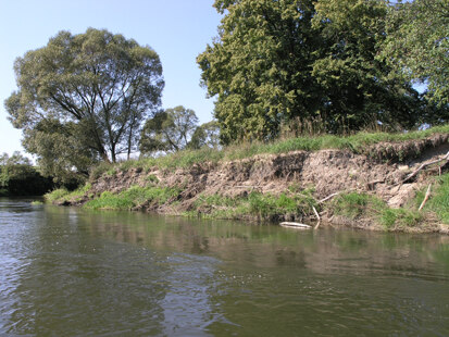 Neiße zwischen Deschka und Rothenburg (Foto: H. Blischke, Archiv Naturschutz LfULG)