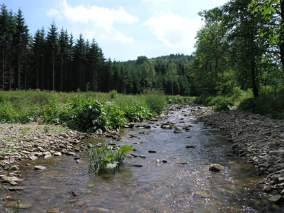 Bach im Osterzgebirge (Foto: H. Blischke, Archiv Naturschutz LfULG)