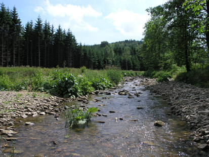 Bach im Osterzgebirge (Foto: H. Blischke, Archiv Naturschutz LfULG)