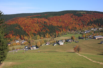Laubwälder mit Herbstfärbung bei Holzhau (Foto: H. Blischke, Archiv Naturschutz LfULG)
