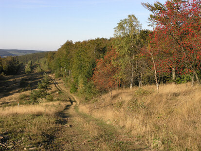 Erzgebirgskamm bei Bad Einsiedel (Foto: H. Blischke, Archiv Naturschutz LfULG)