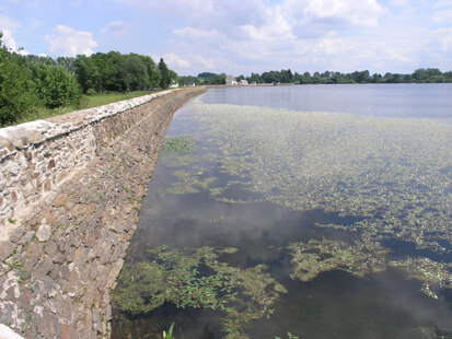 Großhartmannsdorfer Großteich (Foto: H. Blischke, Archiv Naturschutz LfULG)