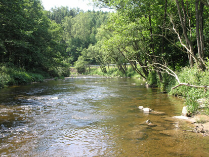 Flöhatal bei Pockau (Foto: H. Blischke, Archiv Naturschutz LfULG)