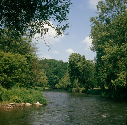 Flusslauf der Zschopau (Foto: U. Zöphel, Archiv Naturschutz LfULG)