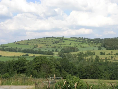 Herrmannshöhe östlich Annaberg mit ausgeprägten Steinrücken (Foto: H. Blischke, Archiv Naturschutz LfULG)
