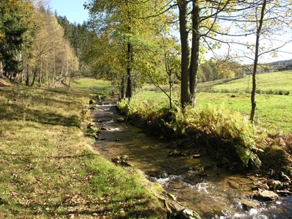 Der Bach Zwönitz südöstlich von Zwönitz (Foto: H. Blischke, Archiv Naturschutz LfULG)