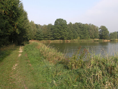 Limbacher Teiche (Foto: H. Blischke, Archiv Naturschutz LfULG)