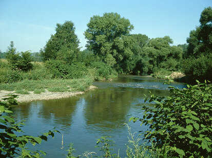 Mulde bei Waldenburg (Foto: J. Hennersdorf, Archiv Naturschutz LfULG)