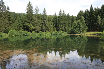 Gewässer am Huttenbachweg, Blick nach Norden (Foto: H. Blischke, Archiv Naturschutz LfULG)