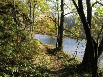 Weiße Elster westlich Möschwitz (Foto: H. Blischke)