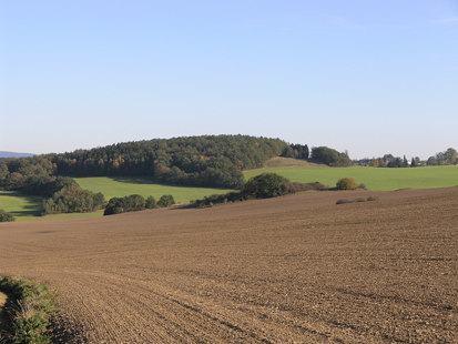 Typischer Pöhl in der vogtländischen Burgsteinlandschaft (Foto: H. Blischke)