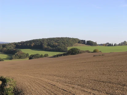 Typischer Pöhl in der vogtländischen Burgsteinlandschaft (Foto: H. Blischke)
